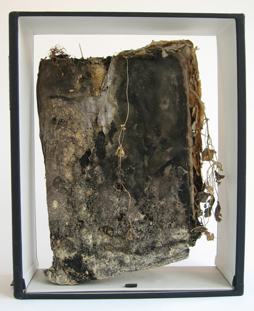 Artistbook mikoriza bookpress