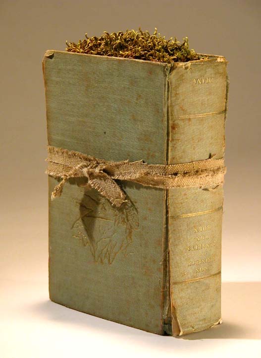 book, artistbook, moos is growing on the book like on a stone.